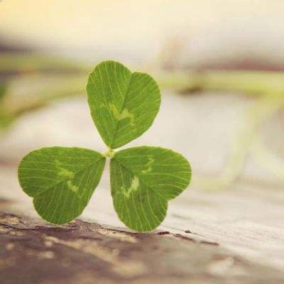 爱游戏全站登录