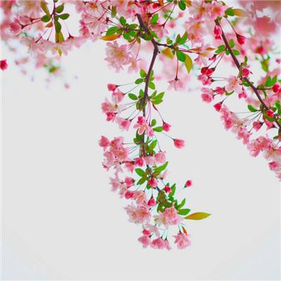 开云·kaiyun体育app下载